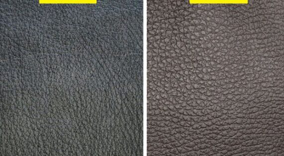 real-vs-fake-leather